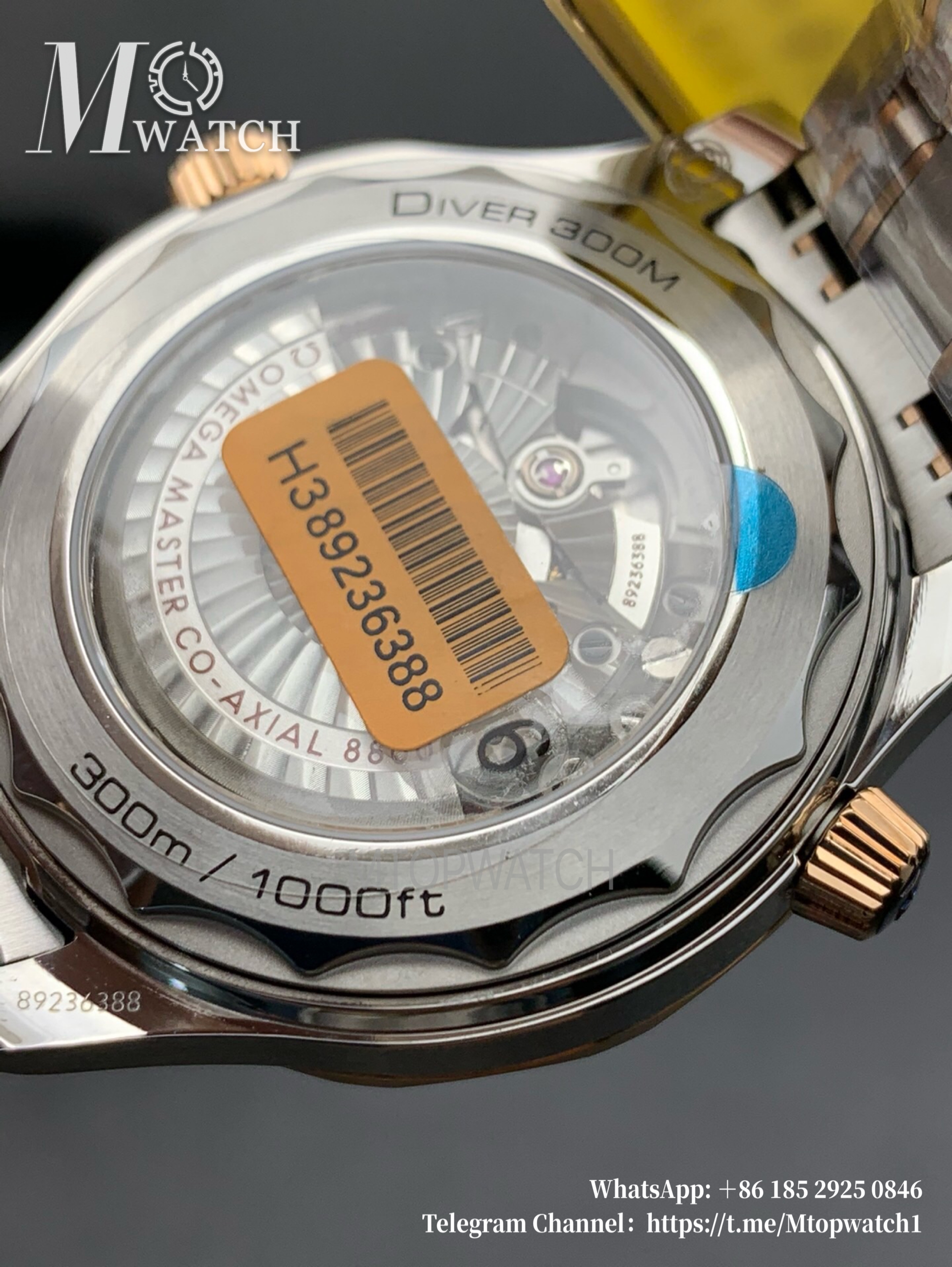OMEGA - Seamaster 300m RG/SS Black VSF VS8800